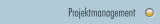 Projektmanagement